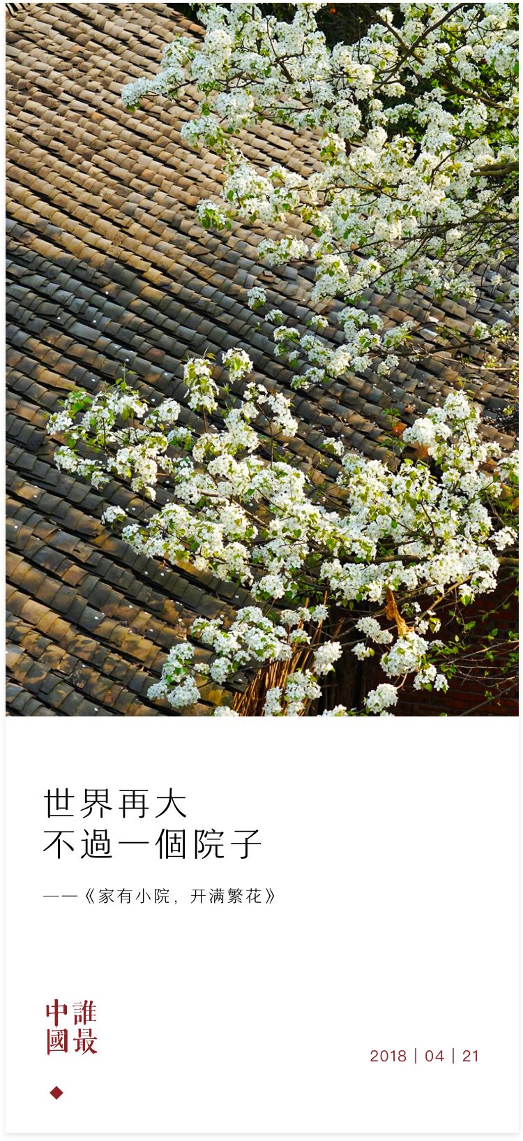 真正懂得生活的人，可以兼顾诗意与烟火