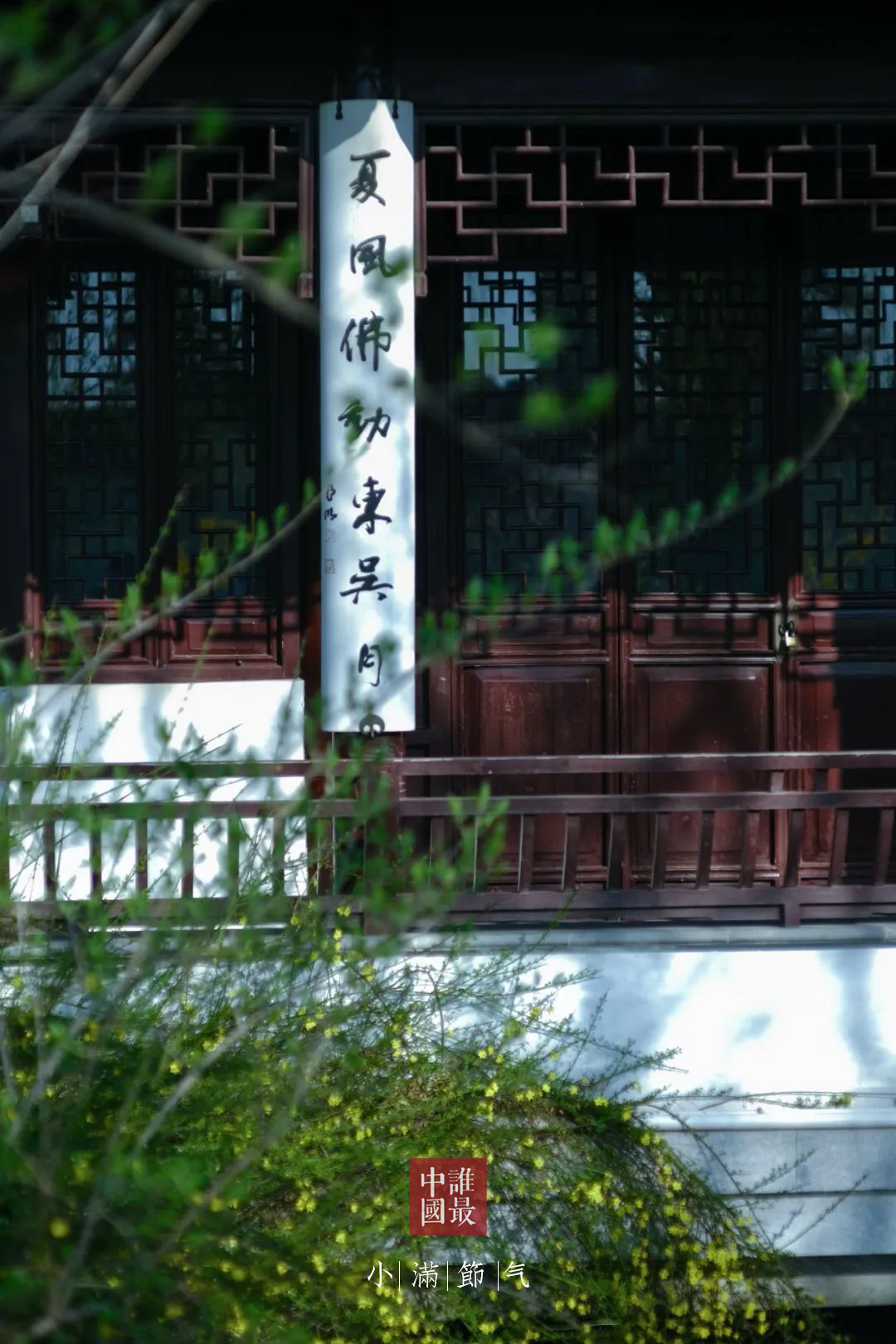 艺术与设计 小满