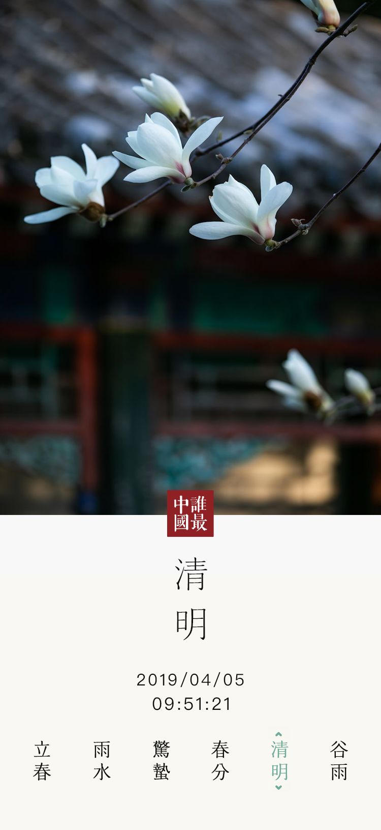 清明寄哀思，饮茶正当时