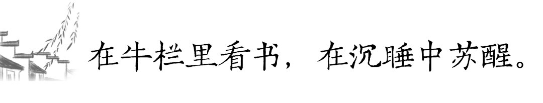 鄉村，換一種方式生長。 家居 第11張