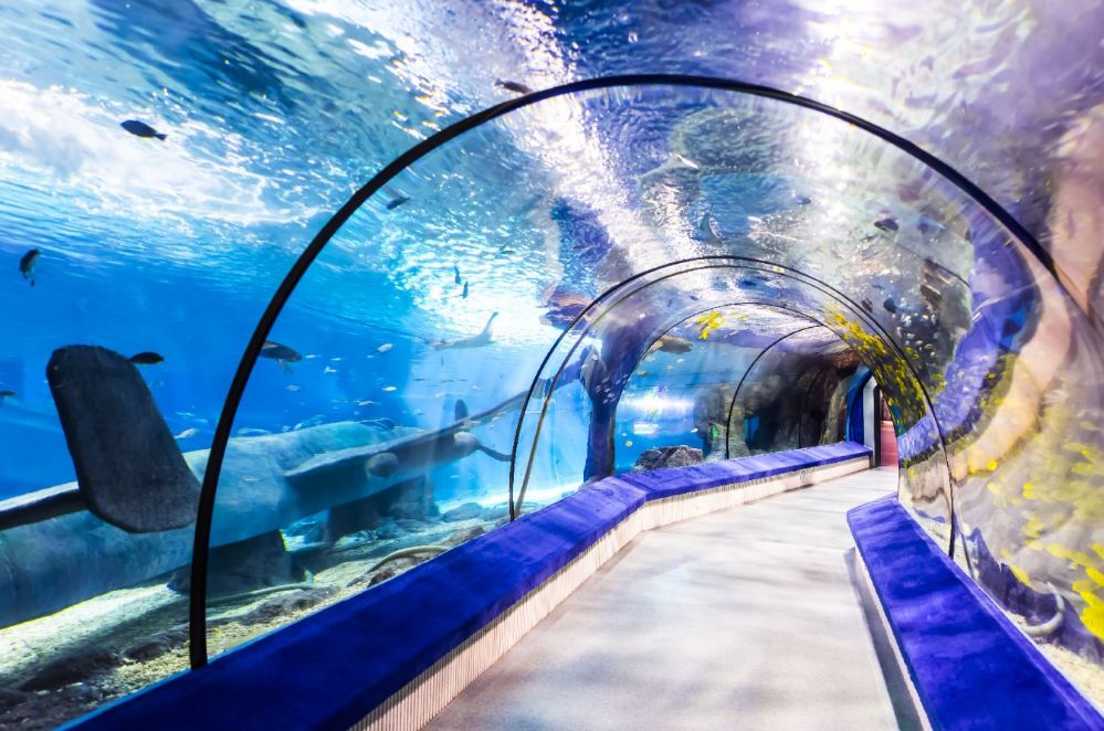 贵安温泉,百丈漈通天瀑布,神仙居,长屿硐天,太姥山,罗源海洋公园纯玩