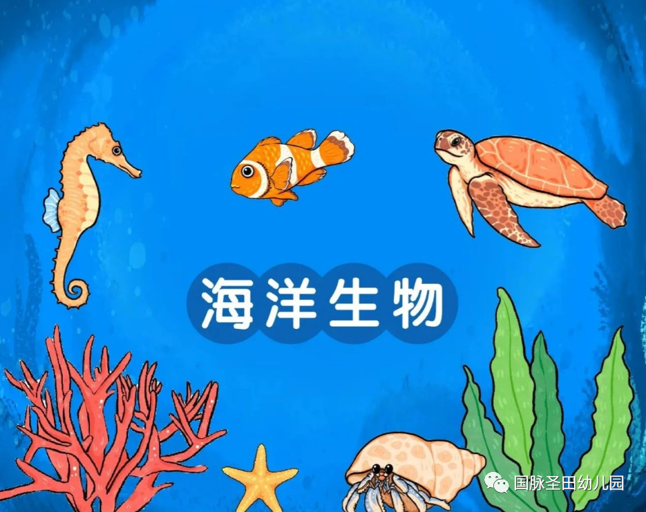 世间海底生物_海底世界生物名称大全_海底生物世界