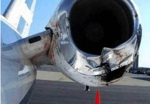 【6/15更新】鸟经常撞飞机发动机, 发动机进气口加个网可以吗?的图14