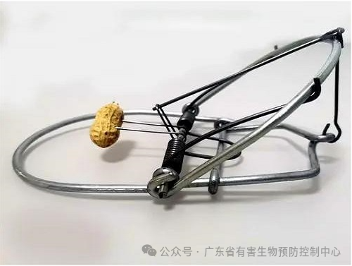 【病媒监测】鼠密度监测方法 【病媒监测】鼠密度监测方法