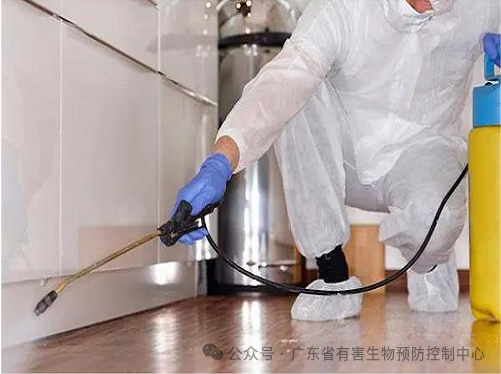 【疑难杂症】酒店有蜘蛛怎么处理？