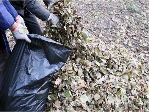 【疑难杂症】酒店有蜘蛛怎么处理？