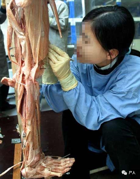 尸体工厂_尸骨工厂完整版_尸骨工厂