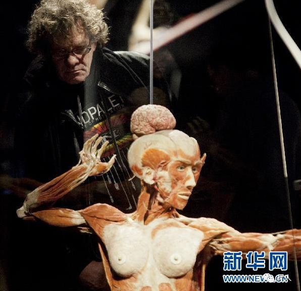 尸骨工厂_尸骨工厂完整版_尸体工厂