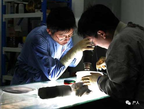 尸体工厂_尸骨工厂_尸骨工厂完整版