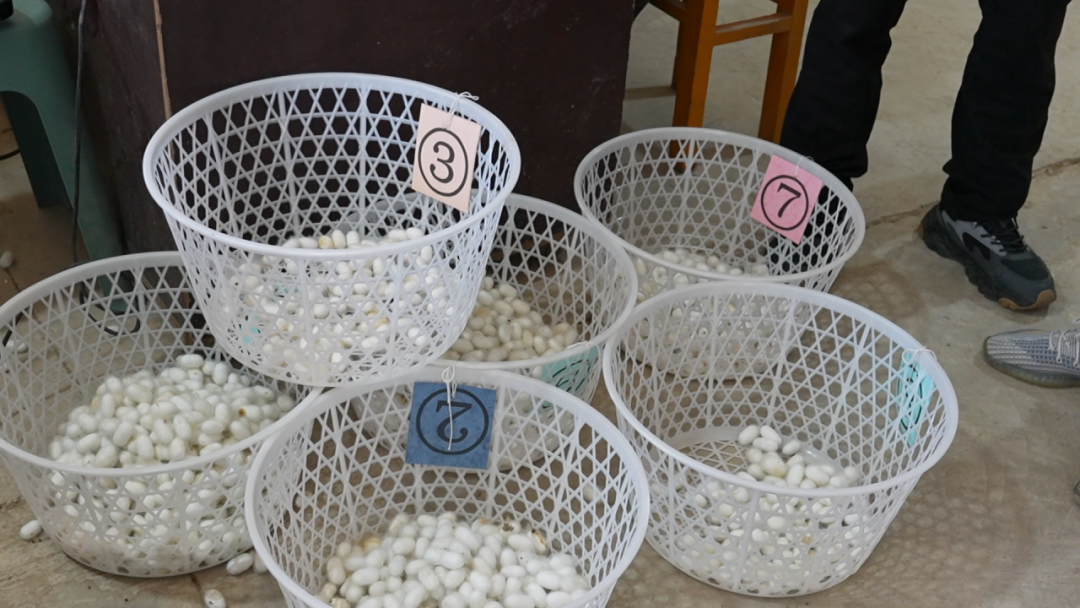 _林业产业助推群众增收_产业发展带动村民增收
