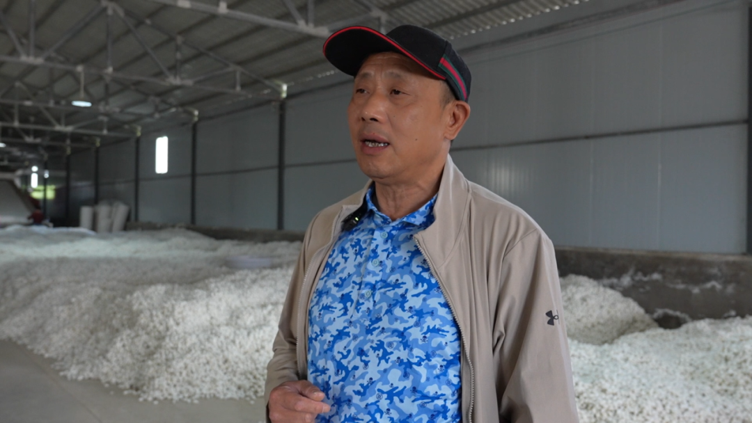 产业发展带动村民增收__林业产业助推群众增收