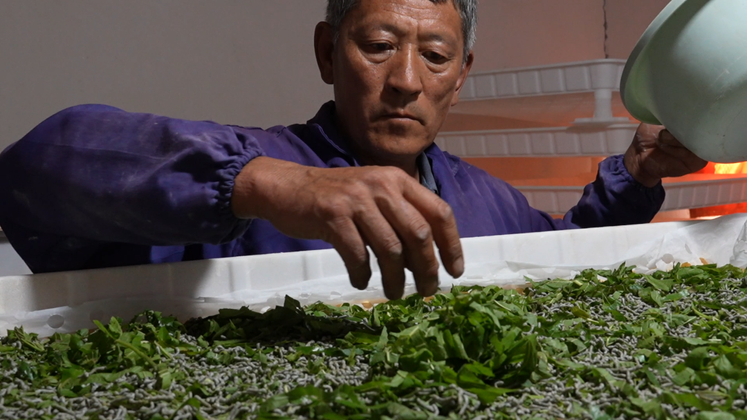 _林业产业助推群众增收_产业发展带动村民增收