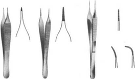 为什么叫蚊式钳手术器械——常用及各专科常用手术器械_https://www.jmylbn.com_新闻资讯_第20张