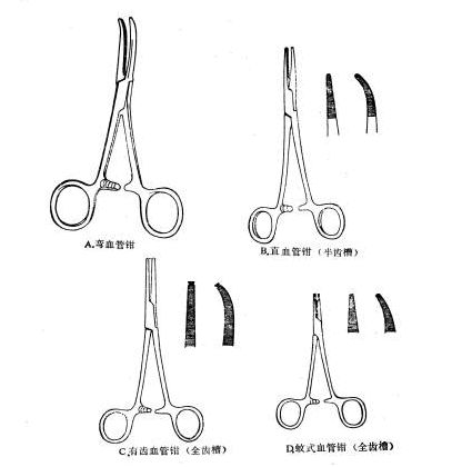 为什么叫蚊式钳手术器械——常用及各专科常用手术器械_https://www.jmylbn.com_新闻资讯_第3张