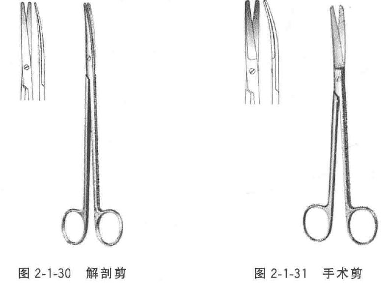 为什么叫蚊式钳手术器械——常用及各专科常用手术器械_https://www.jmylbn.com_新闻资讯_第29张