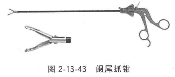妇科器械怎么使用微创手术器械——普外、妇科腹腔镜手术器械_https://www.jmylbn.com_新闻资讯_第29张