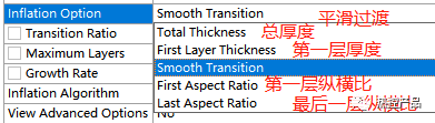 Ansys Workbench网格控制之——全局网格控制的图29