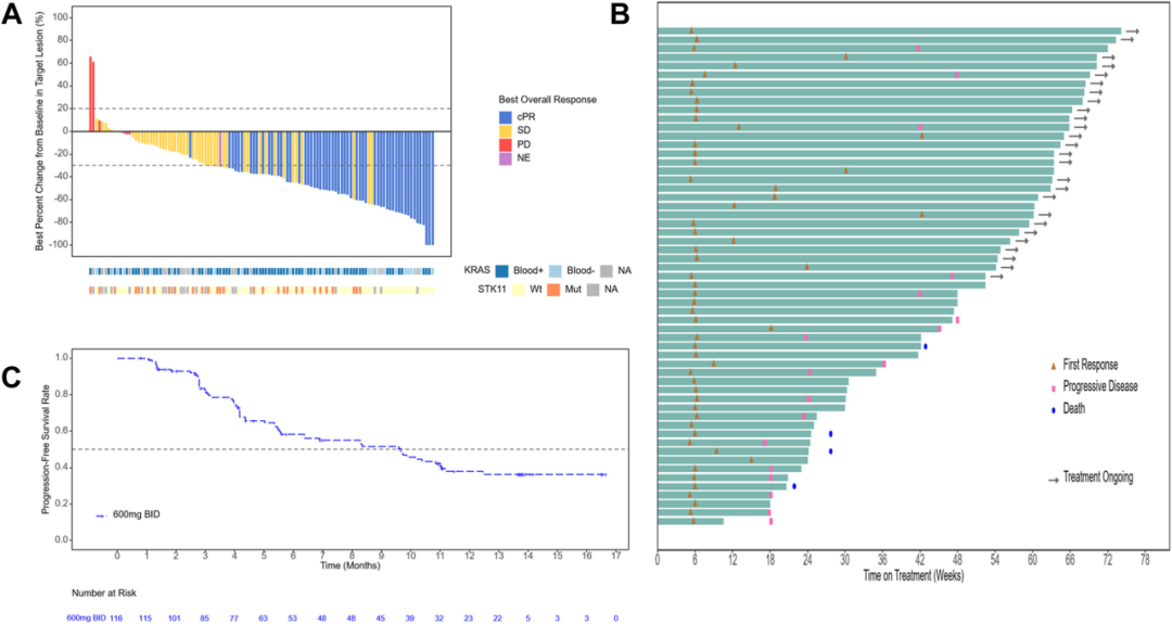 （圖片來源：Efficacy and Safety of KRASG12C Inhibitor IBI351 Monotherapy in Patients With Advanced NSCLC: Results From a Phase 2 Pivotal Study