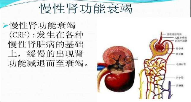 同型半氨酸怎么化验为什么要检测同型半胱氨酸_https://www.jmylbn.com_新闻资讯_第9张