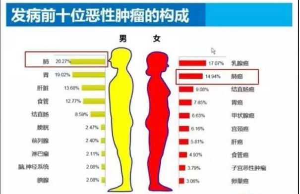 同型半氨酸怎么化验为什么要检测同型半胱氨酸_https://www.jmylbn.com_新闻资讯_第5张