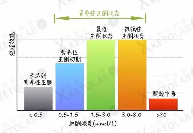 如何快速進入生酮狀態，快速瘦身 健康 第3張