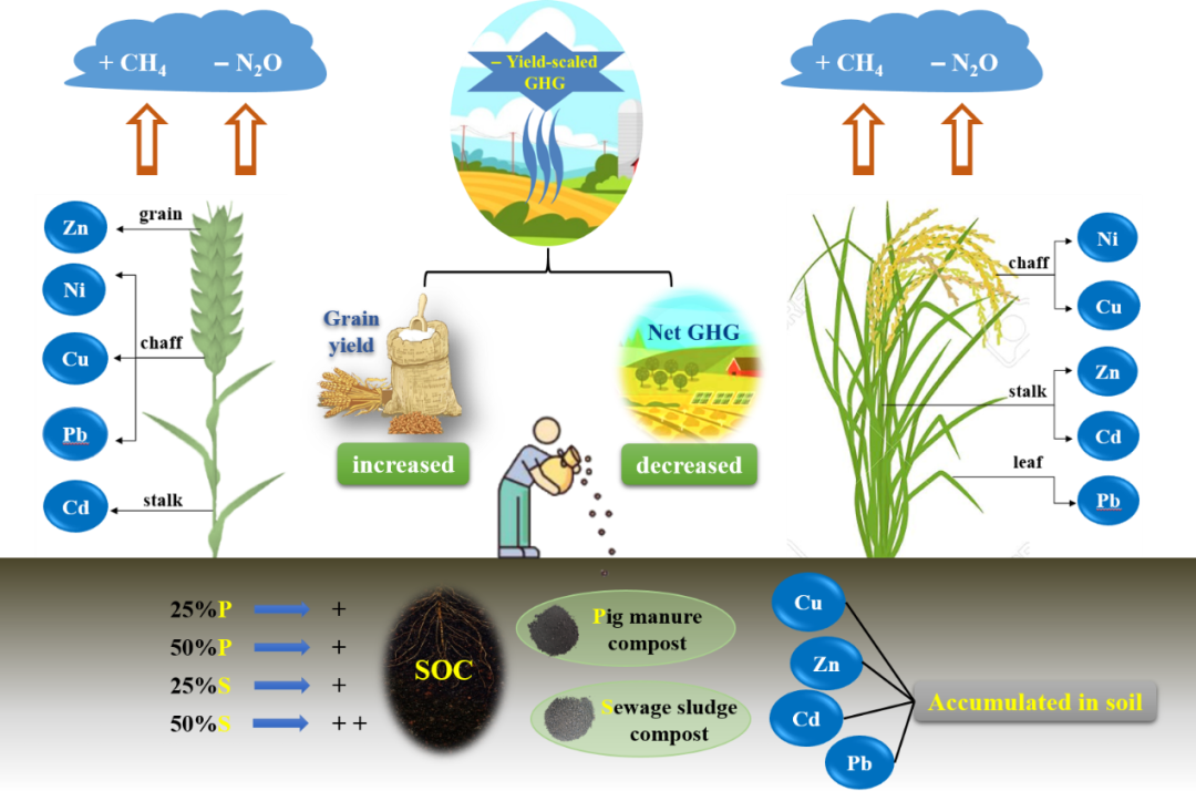 有机肥部分替代化肥对ch4和n2o排放,作物产量及土壤和籽粒中重金属