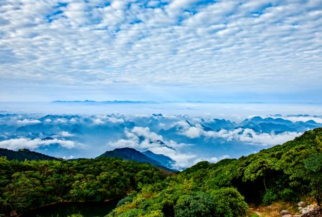"洛阳茶韵香,天井杜鹃红"——乳源首届采茶节暨第二届云锦杜鹃赏花节