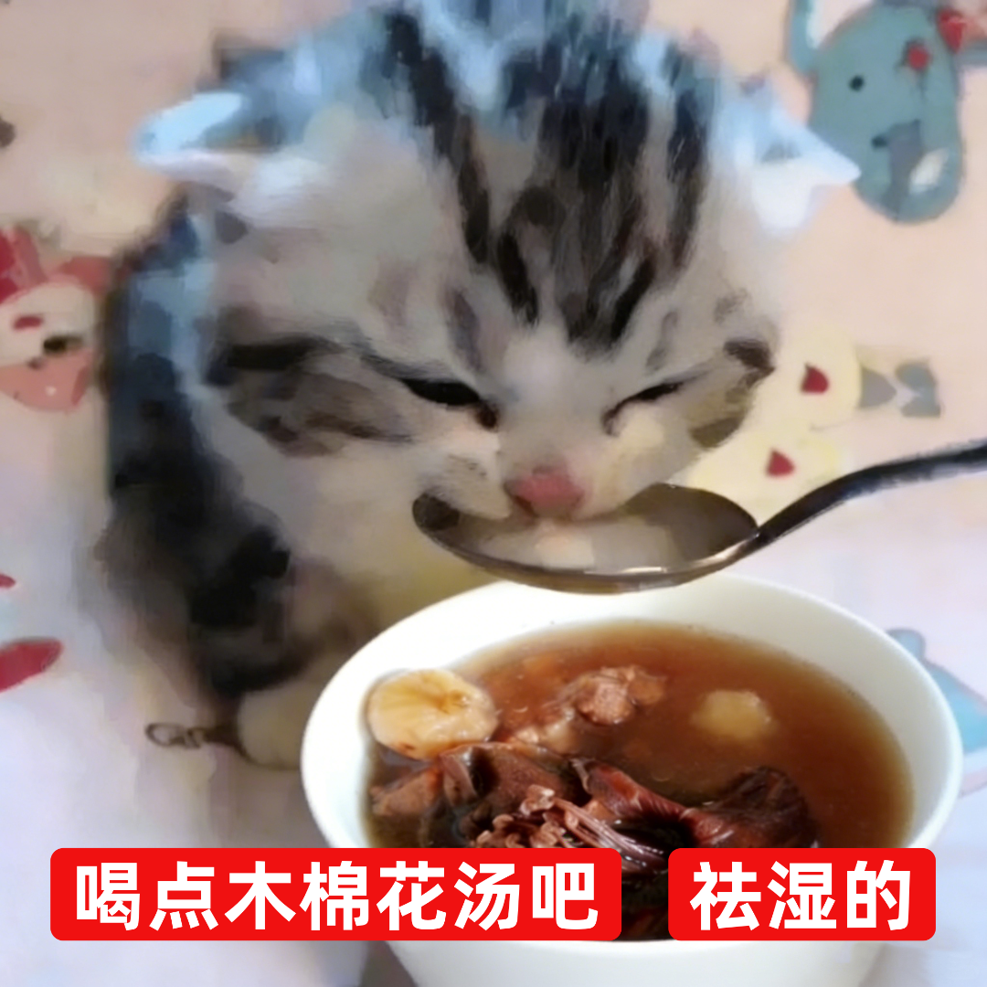 图片处理_副本.png