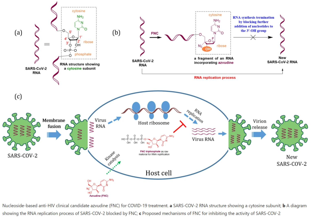 阿兹夫定横空出世！