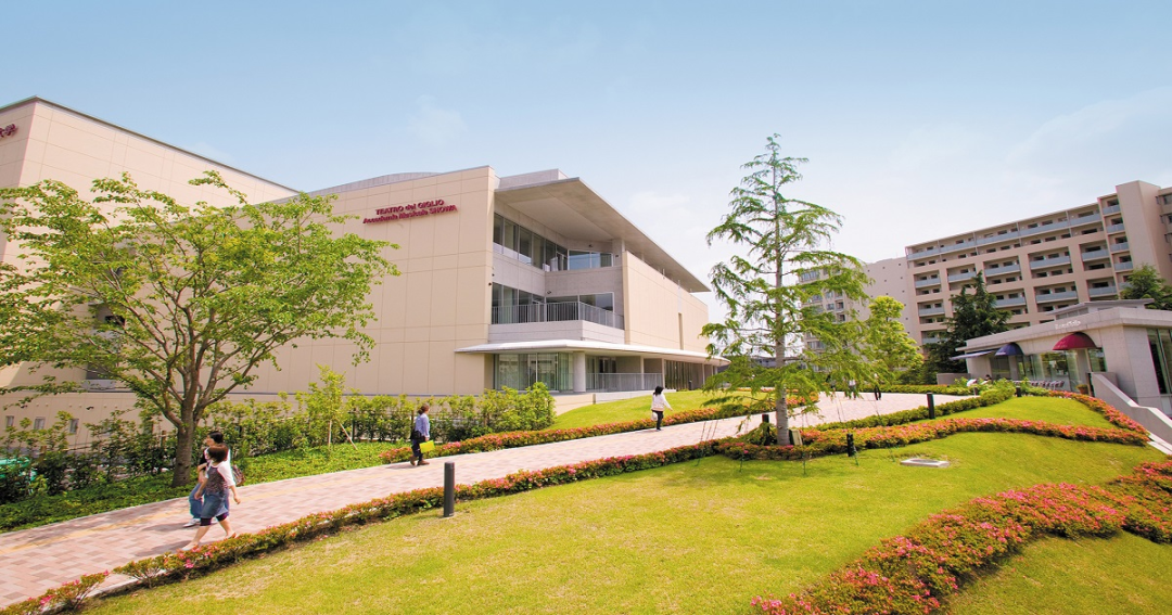 昭和音乐大学本科设有作曲,指挥,风琴,电子风琴,钢琴,弦管打击乐,声乐