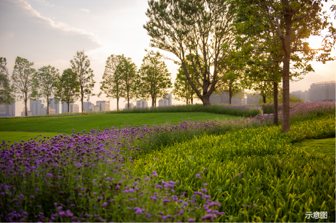 番禺大学城板块，越秀大学星汇锦城即将开盘，户型图出炉！