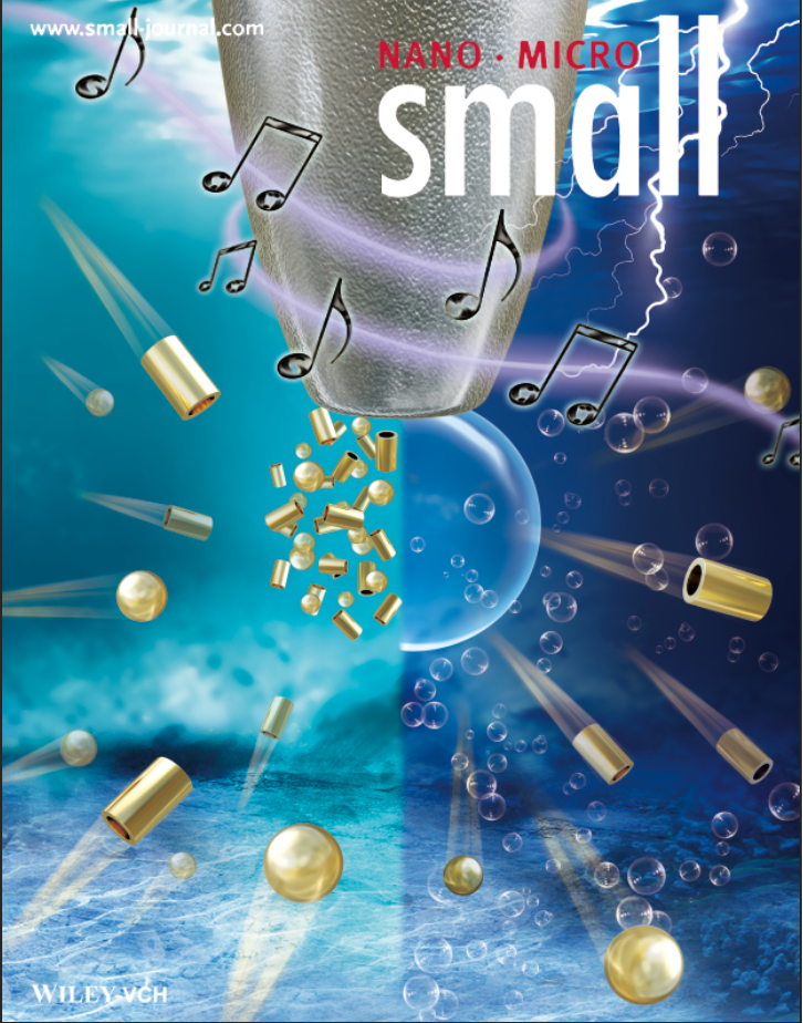 成果被选作封面文章（inside front cover）发表于国际著名学术期刊《small》。