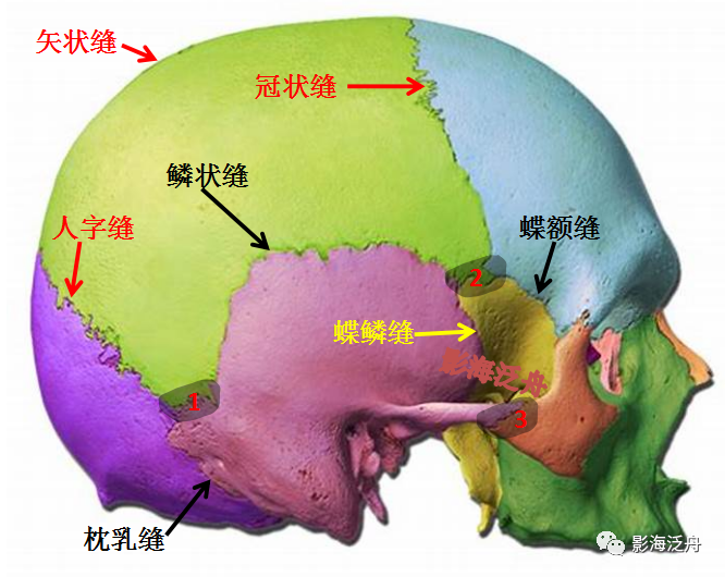 顱骨骨折(下)_醫學界-助力醫生臨床決策和職業成長