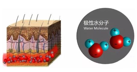 多极射频是什么RF射频到底是什么？_https://www.jmylbn.com_新闻资讯_第3张