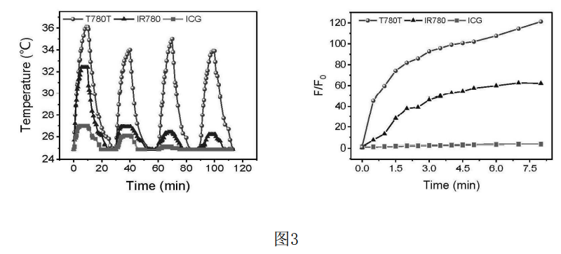 4006B光疗怎么用光热转换 ｜ 具有高光热转换效率的七甲川花菁光敏剂的制备及用于肿瘤靶向光疗_https://www.jmylbn.com_新闻资讯_第4张