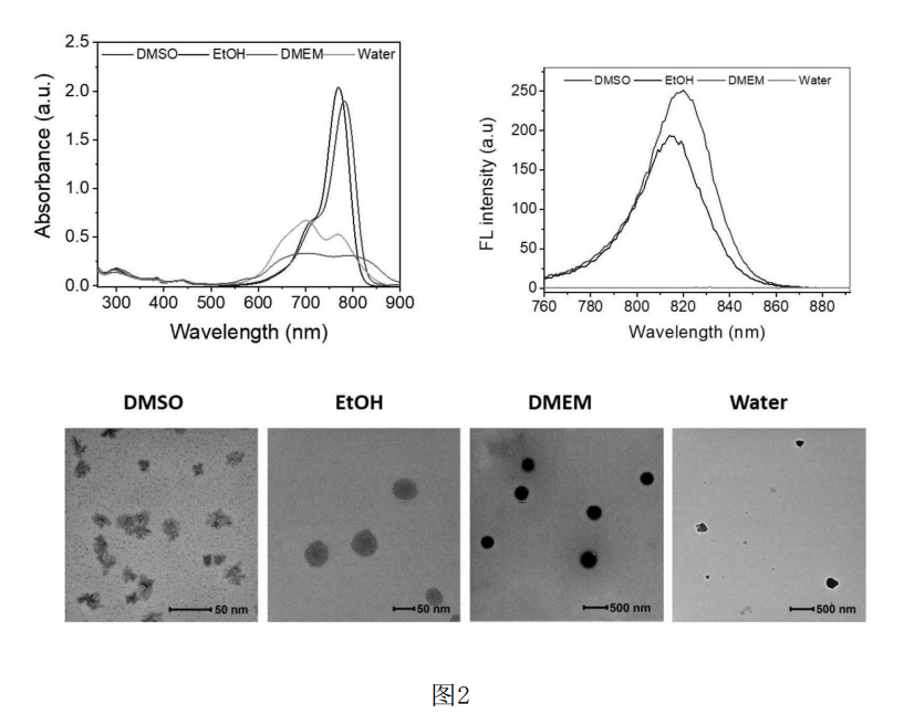 4006B光疗怎么用光热转换 ｜ 具有高光热转换效率的七甲川花菁光敏剂的制备及用于肿瘤靶向光疗_https://www.jmylbn.com_新闻资讯_第3张