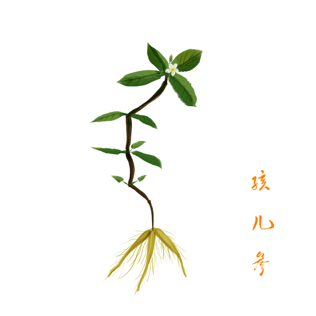 使用什么呼吸冬季养肺吃什么？呼吸道疾病高发，省名中医教你用对方法补肺气、提正气_https://www.jmylbn.com_新闻资讯_第16张