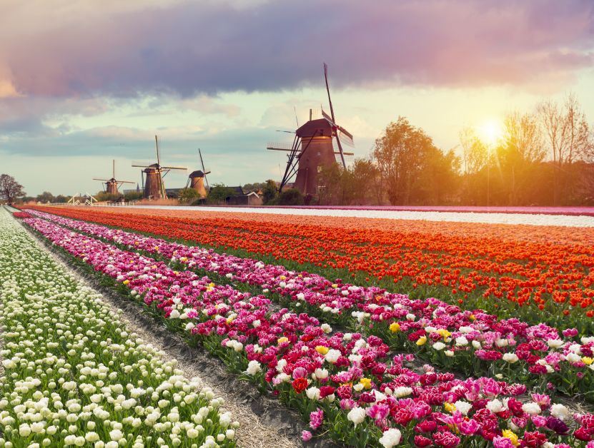 盤點歐洲旅遊必做的50件事？！你有哪些還沒做？！ 旅遊 第32張