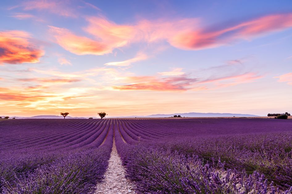 盤點歐洲旅遊必做的50件事？！你有哪些還沒做？！ 旅遊 第42張