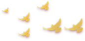 ""
