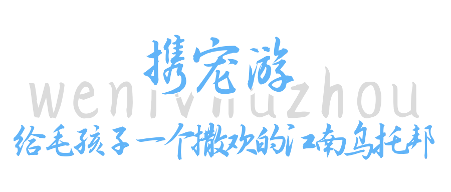 user_download_ue_2026-03-12_图怪兽_c7113bc875f2385b8a5025546c4b8853_94281.png