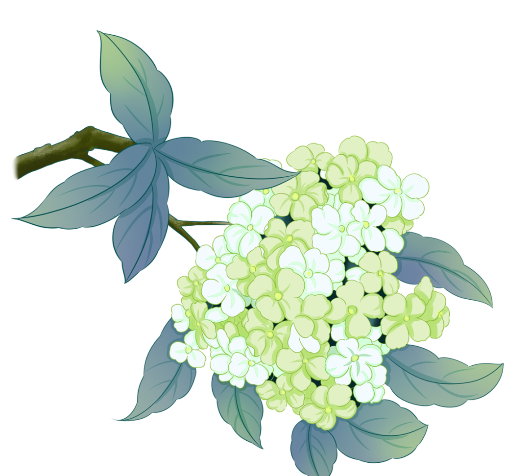 摄图网_402046882_绣球花水彩紫白色插花(非企业商用).png