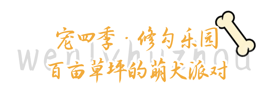 user_download_ue_2026-05-02_图怪兽_64bf38850ccb585f5b97690705a69d09_77979.png