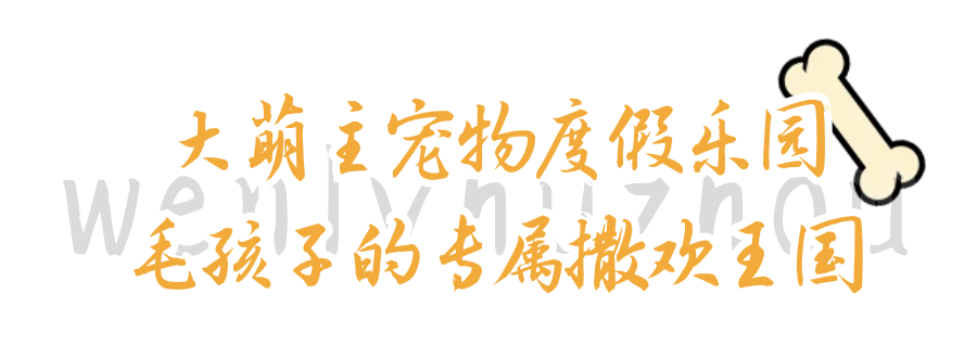 图怪兽_学院书画社团招新新人公众号首图 (3).png