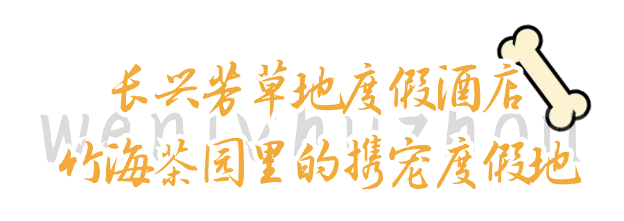 user_download_ue_2026-05-02_图怪兽_6b5edc362571767c3f2403efbe5bf2ad_22545.png