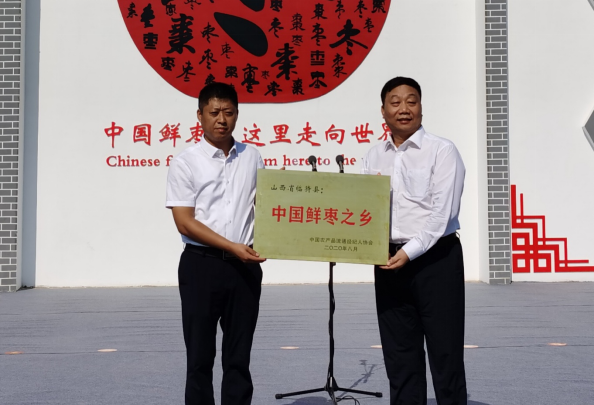 临猗小鲜枣，致富大产业｜中国鲜枣从这里走向世界 ——山西临猗第二届鲜枣文化节隆重开幕(图4)
