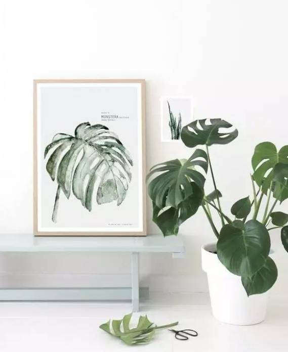 要打造梦幻般的阳台花房 你需要知道这些小细节