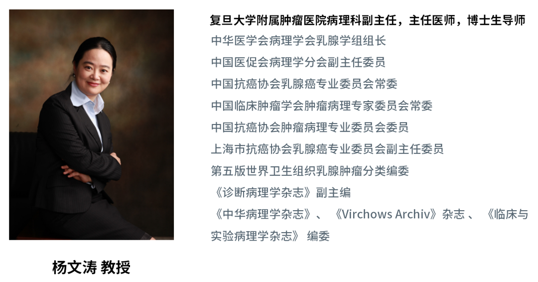 乳腺cr是什么解读ICCR《新辅助治疗后浸润性乳腺癌的病理报告指南》_https://www.jmylbn.com_新闻资讯_第4张