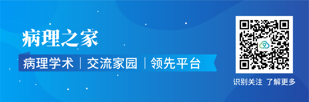 乳腺cr是什么解读ICCR《新辅助治疗后浸润性乳腺癌的病理报告指南》_https://www.jmylbn.com_新闻资讯_第12张