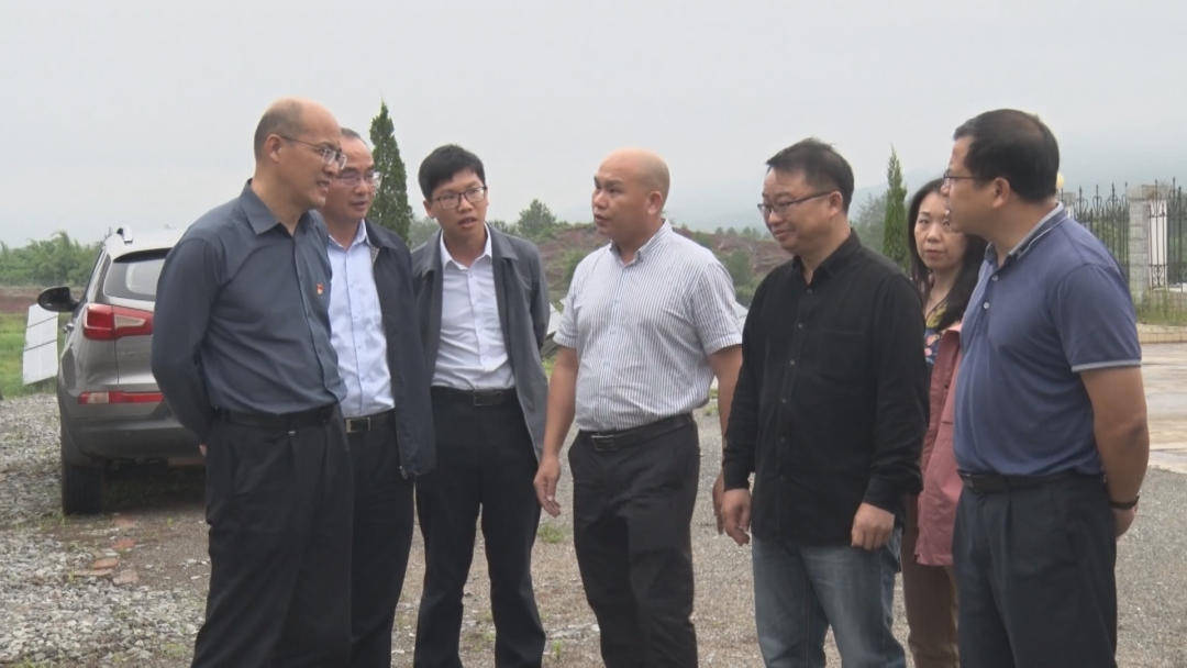 国家能源局华中监管局党组书记,局长王强一行到我县调研 | 信丰县信息